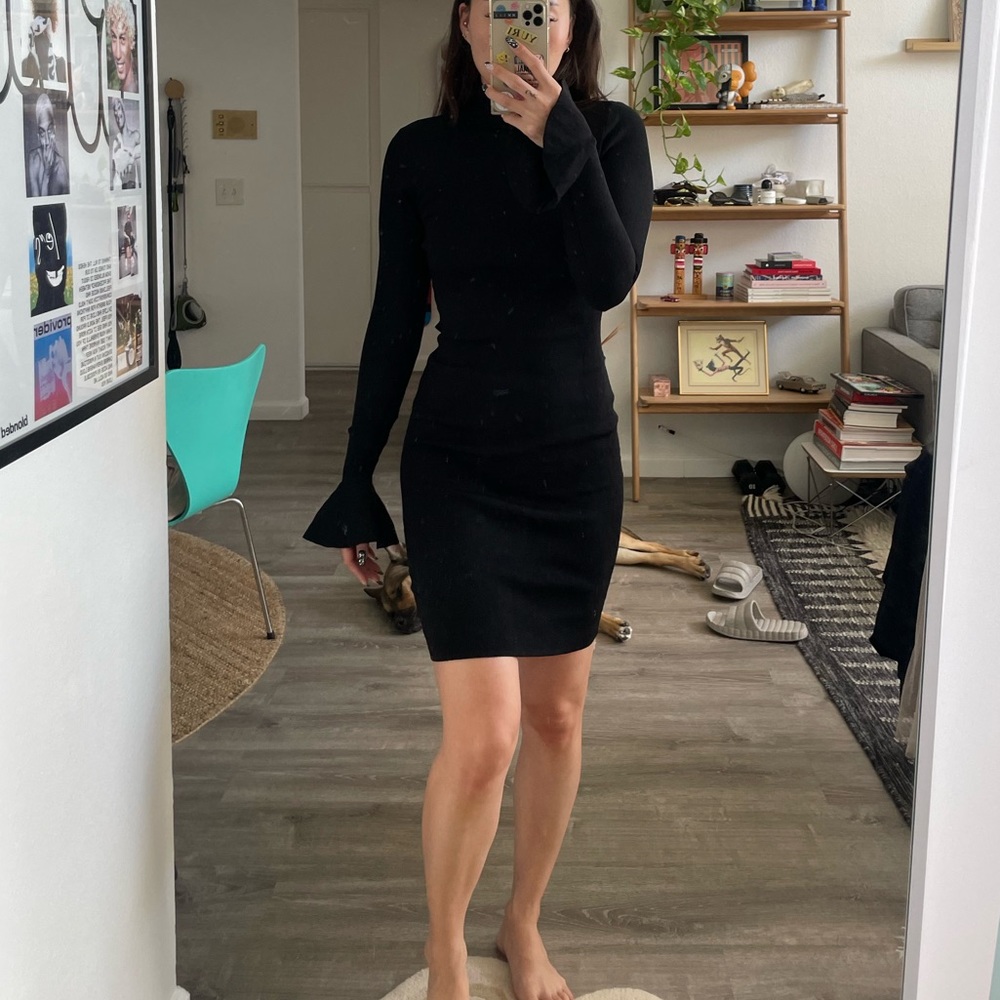 Blow j long sleeve turtle neck bell sleeve mini dress